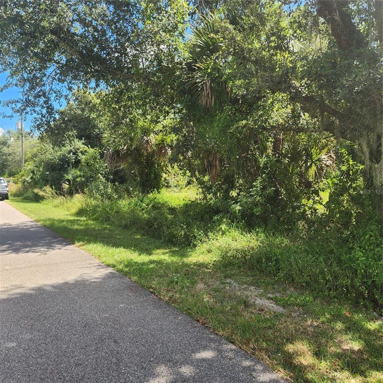 A paved road runs alongside a densely wooded, undeveloped lot with trees and shrubs — 1587 CASTLEROCK LANE, PORT CHARLOTTE, FL
