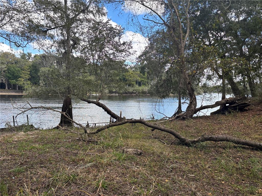 A view of a riverbank with trees and a fallen log in the foreground — 1347 NE 519TH AVENUE, OLD TOWN, FL