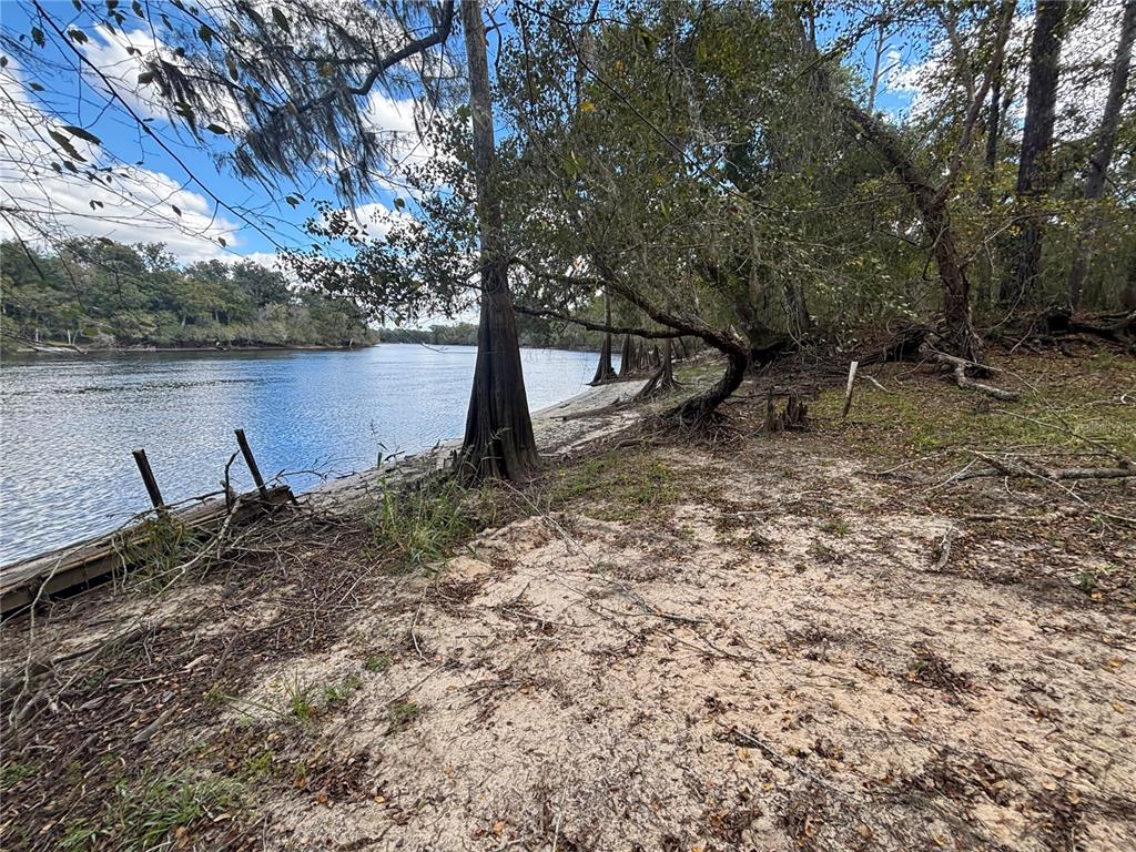 A sandy riverbank features a large cypress tree and remnants of a wooden dock — 1347 NE 519TH AVENUE, OLD TOWN, FL