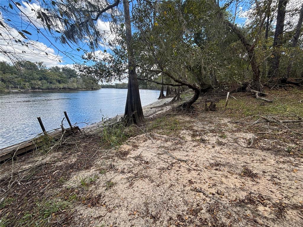 A sandy riverbank features cypress trees and the remains of a wooden dock — 1347 NE 519TH AVENUE, OLD TOWN, FL