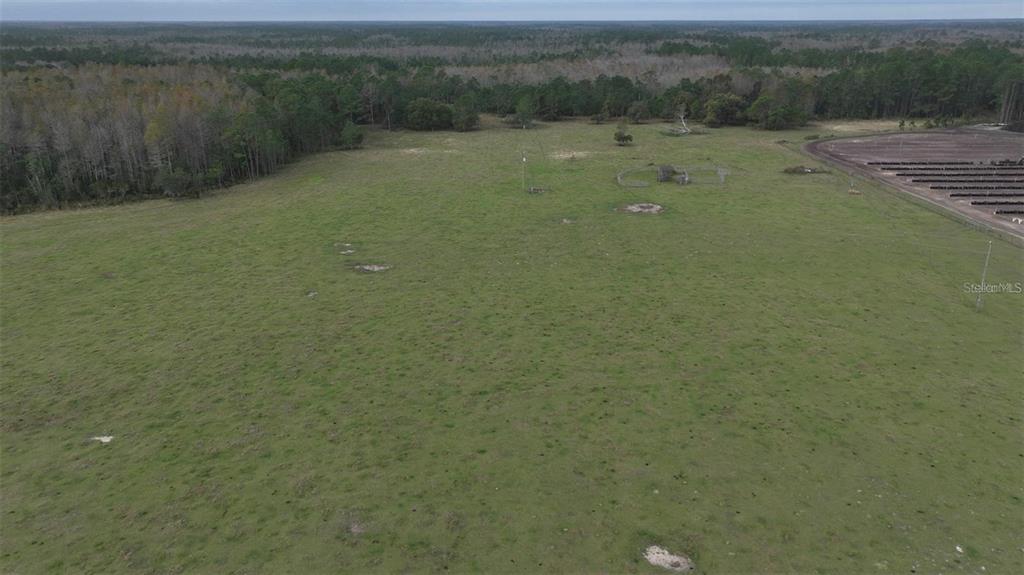 An expansive, grassy field is bordered by a dense forest and a solar panel array — BERRY GROVES RD DRIVE, CLERMONT, FL