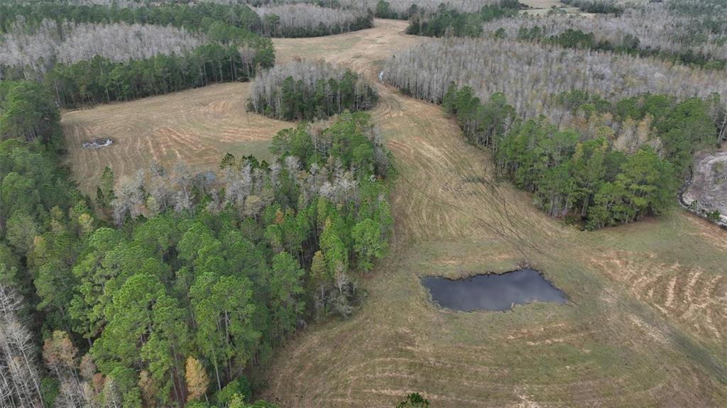 An aerial view shows a rural landscape with open grassy fields, pine forests, and ponds — BERRY GROVES RD DRIVE, CLERMONT, FL