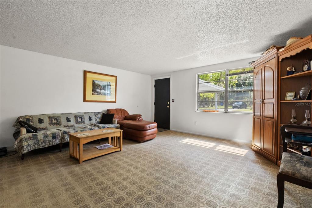 A living room with patterned carpet, a sofa, a leather chaise, and a wooden cabinet — 12631 HOBSON SIMMONS ROAD, LITHIA, FL