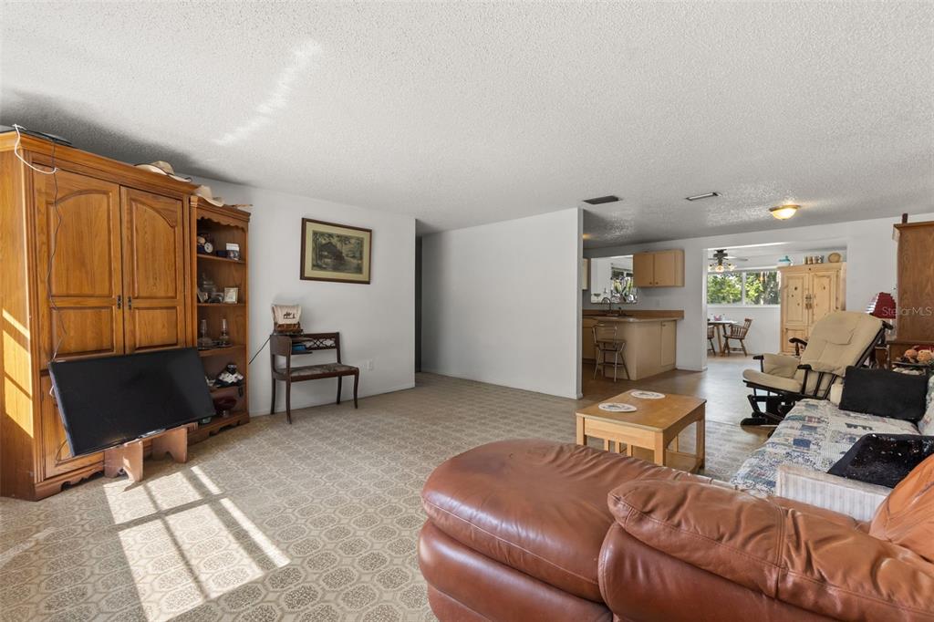 A living room with carpeted floors, a large wooden entertainment center, and a leather sofa — 12631 HOBSON SIMMONS ROAD, LITHIA, FL