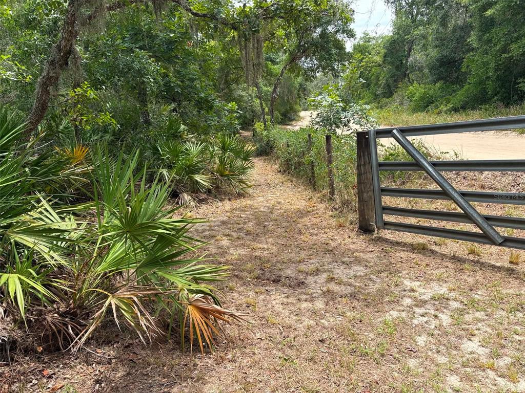 A metal gate opens to a sandy path bordered by trees and palmetto bushes — 0 MILLSTREAM DRIVE, GROVELAND, FL