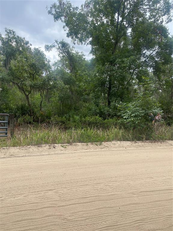 A sandy road runs in front of a densely wooded lot with a metal gate — 0 MILLSTREAM DRIVE, GROVELAND, FL