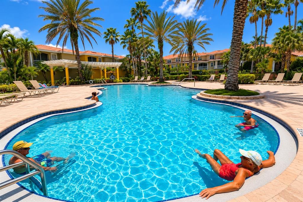 A swimming pool surrounded by lounge chairs, palm trees, and multi-story residential buildings — 5711 BENTGRASS DRIVE UNIT 19-203, SARASOTA, FL