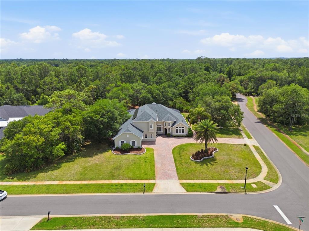 An aerial view shows a large house with a brick driveway surrounded by trees — 14106 OAKWOOD COVE LANE, ORLANDO, FL