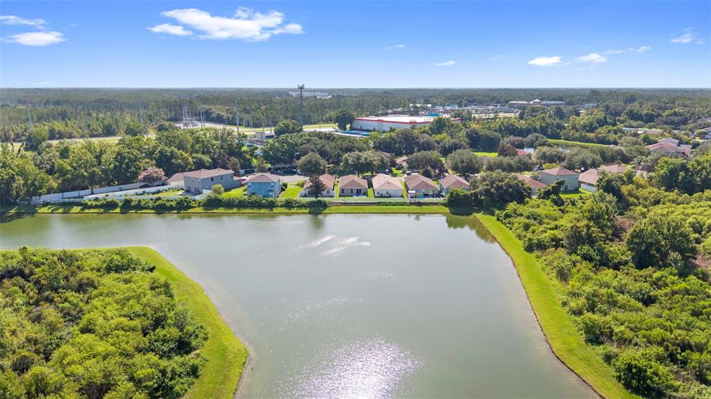 An aerial view shows a pond in the foreground with residential houses in the background — 10109 LANDPORT WAY, LAND O LAKES, FL
