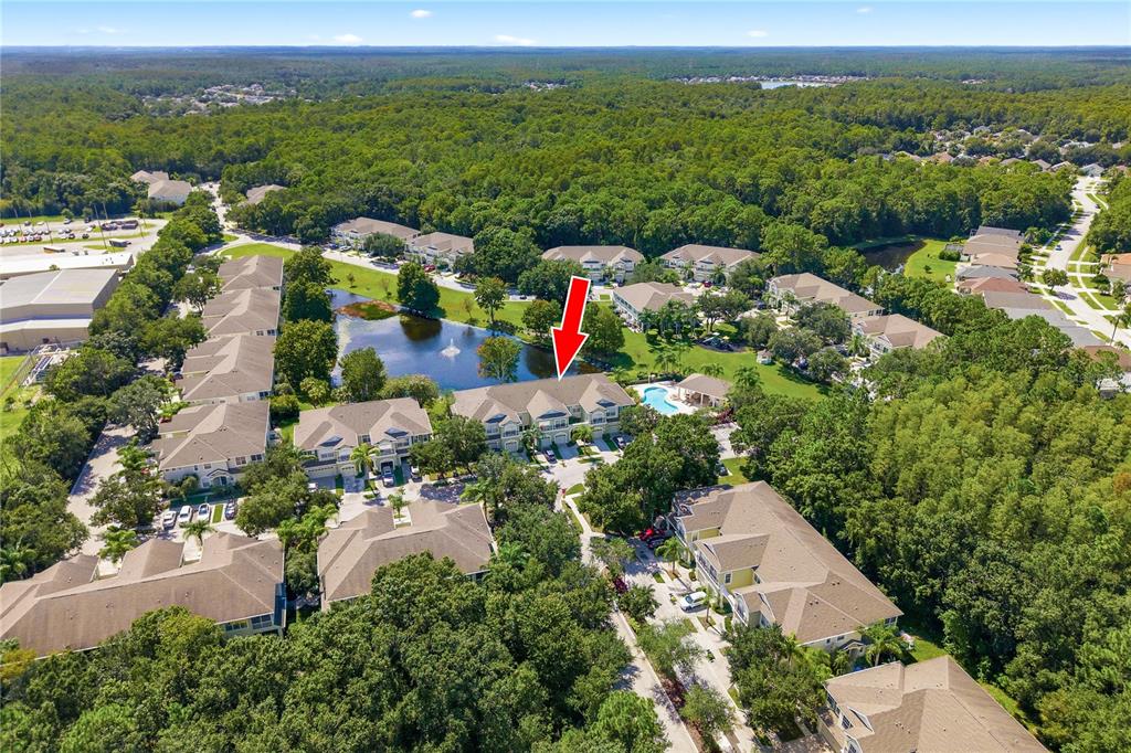 14082 WATERVILLE CIRCLE, TAMPA, FL — photo 3 of 30