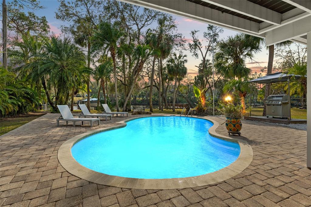 A backyard swimming pool with lounge chairs sits on a paved patio near a grill — 906 W HENRY AVENUE, TAMPA, FL