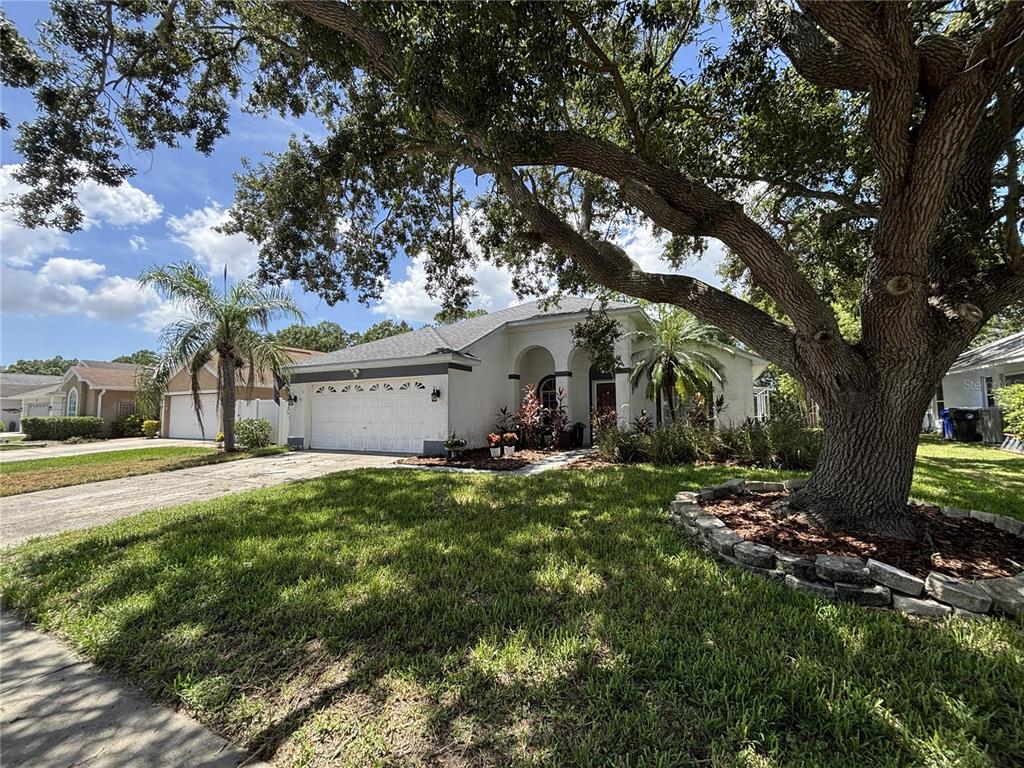 348 FOUNTAINVIEW CIRCLE, OLDSMAR, FL — photo 3 of 19