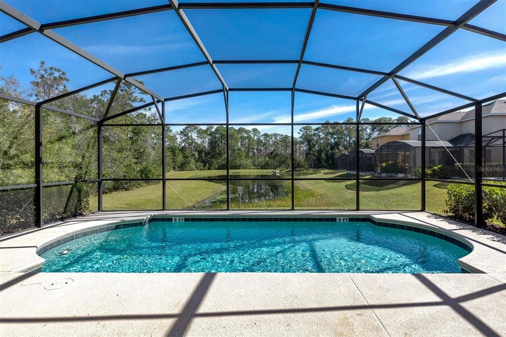 A screened-in swimming pool overlooks a grassy yard and a small pond — 2631 SANTOSH COVE, KISSIMMEE, FL