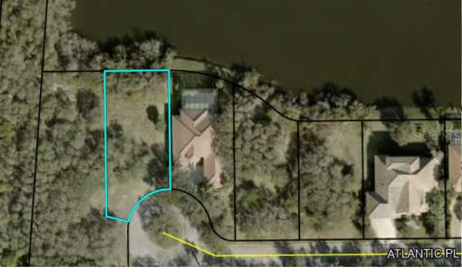 This is a map showing a vacant residential lot outlined in blue next to a house — 46 ATLANTIC PLACE, PALM COAST, FL