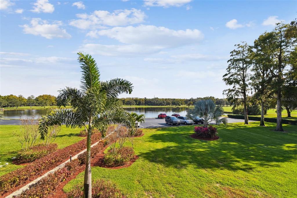 A view of a grassy lawn, palm trees, a parking lot, and a pond — 36750 US HIGHWAY 19 N UNIT 04221, PALM HARBOR, FL