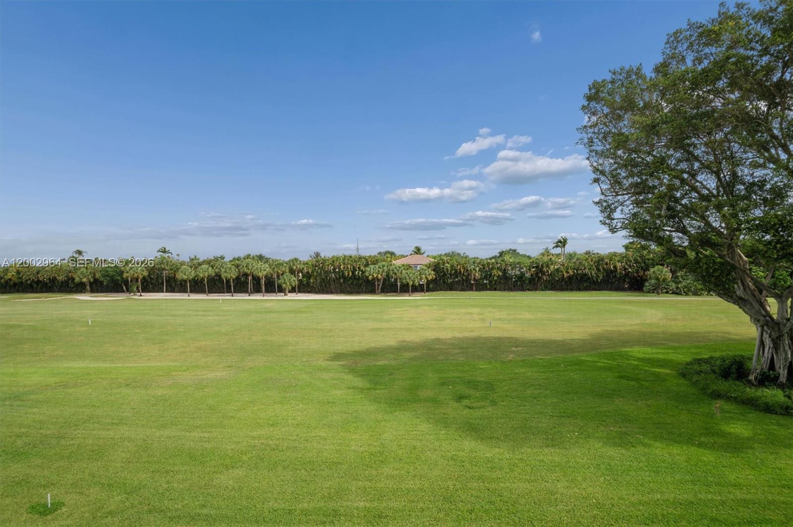 A large, grassy lawn extends toward a line of palm trees under a blue sky — PEMBROKE PINES, FL