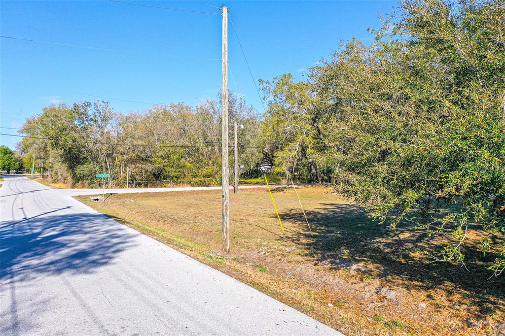 CENTRAL AVENUE, MULBERRY, FL — photo 2 of 8
