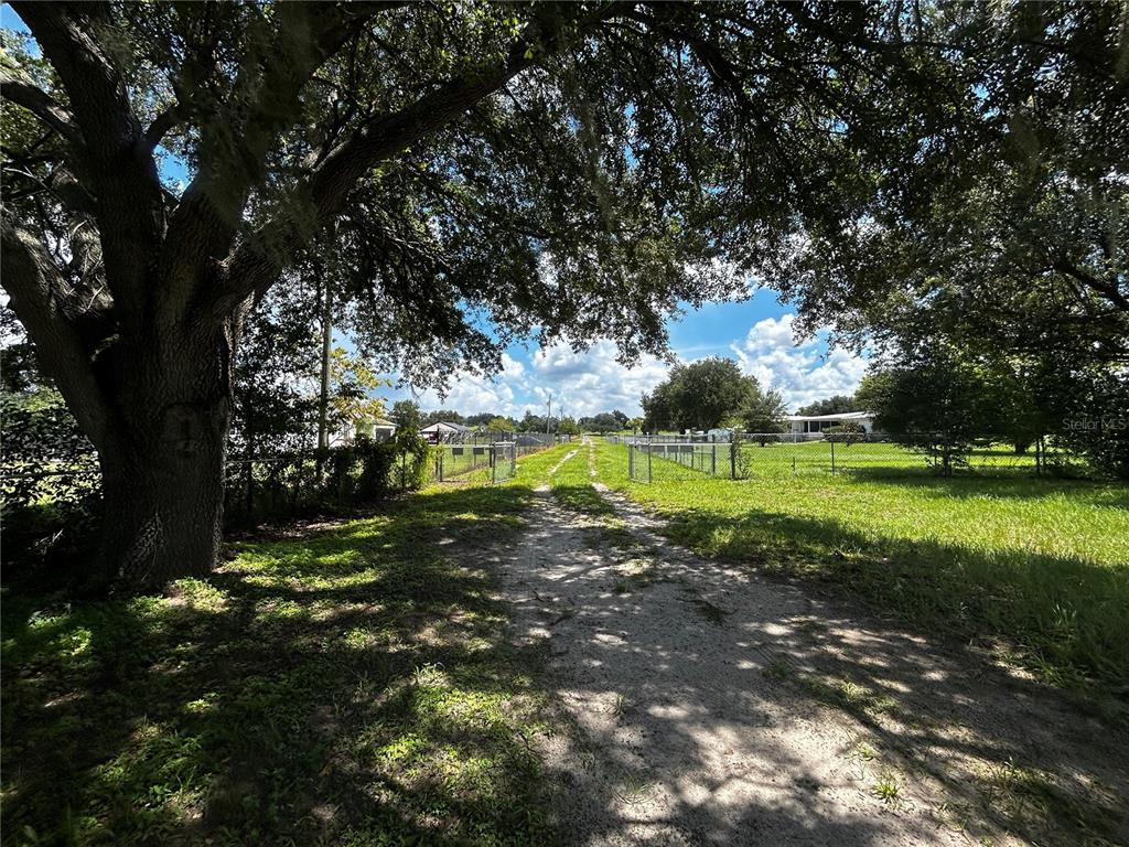 A dirt path leads through a grassy yard lined with chain-link fences and large trees — 8535 23RD STREET, ZEPHYRHILLS, FL