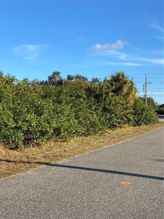 A paved road runs alongside a dense line of green trees and shrubs — Lot 19 EMBASSY ROAD, NORTH PORT, FL