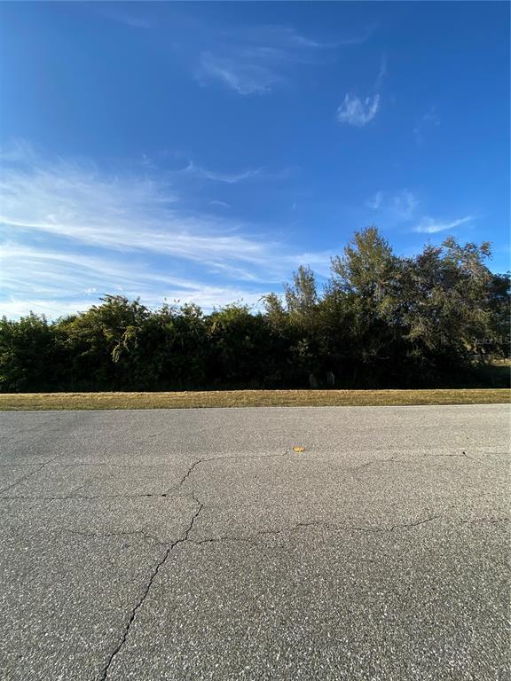 A view of a paved road in front of a grassy lot with dense trees — Lot 19 EMBASSY ROAD, NORTH PORT, FL