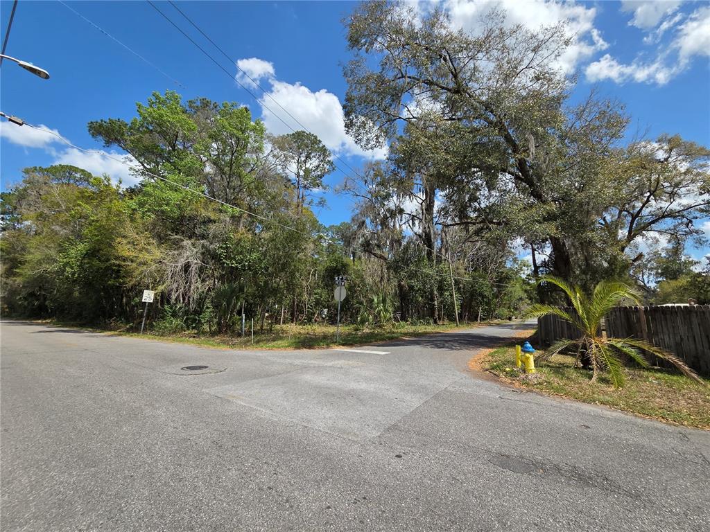A street corner with a fire hydrant, a speed limit sign, and dense wooded vegetation — (Parcel 1) 214 NE 13TH AVENUE, GAINESVILLE, FL