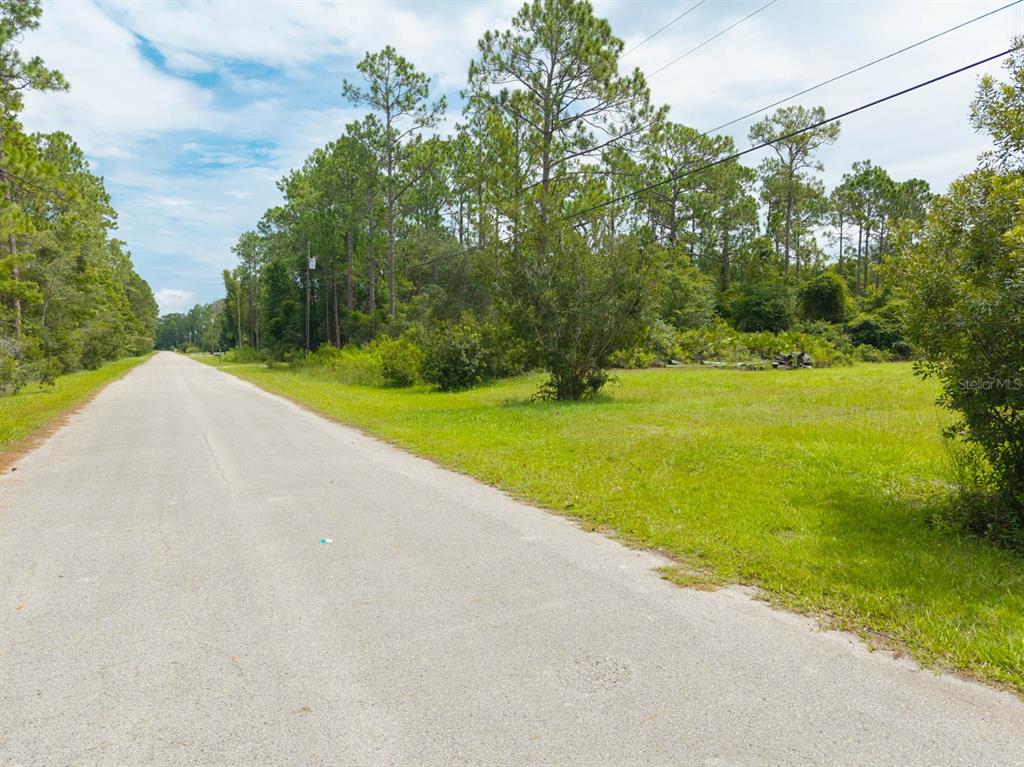A paved road runs alongside a grassy, wooded vacant lot under a cloudy sky — 150 PIONEER TRAIL, GREEN COVE SPRINGS, FL
