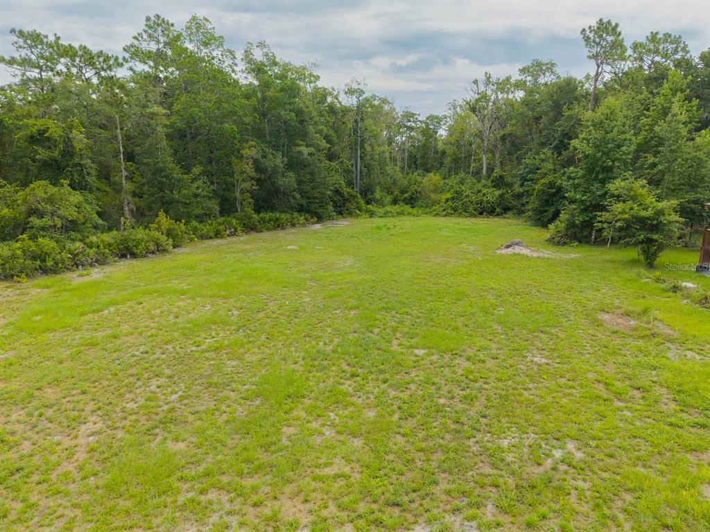 A grassy, cleared lot is bordered by a dense forest of mature trees — 150 PIONEER TRAIL, GREEN COVE SPRINGS, FL