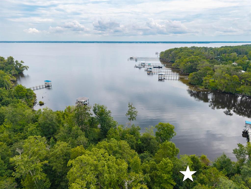 An aerial view shows a wooded shoreline with multiple boat docks extending into a lake — 150 PIONEER TRAIL, GREEN COVE SPRINGS, FL