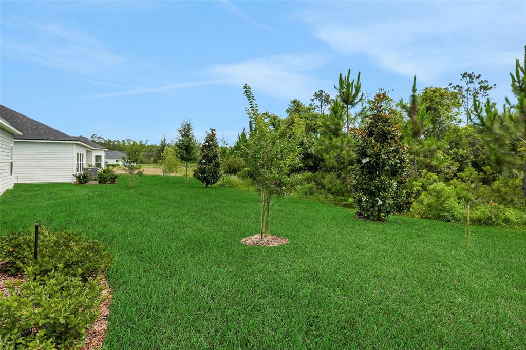 A grassy backyard features a young tree, a magnolia, and a view of neighboring houses — 27 WINDMILL PALM WAY, PALM COAST, FL