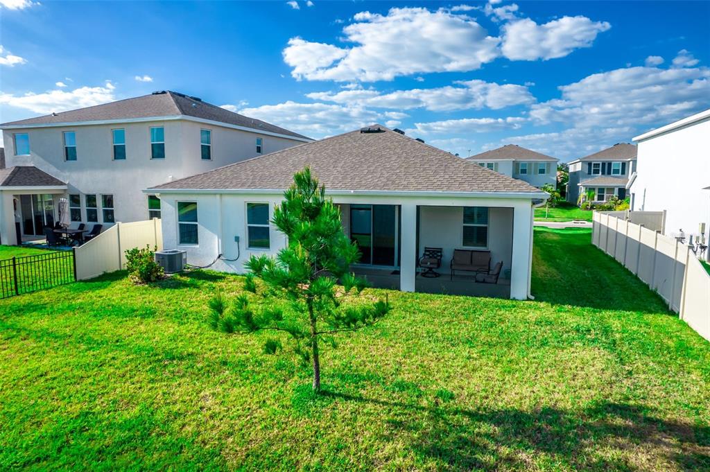 The backyard features a green lawn, a young tree, and a covered patio area — 176 BRIGHT IBIS AVENUE, APOLLO BEACH, FL