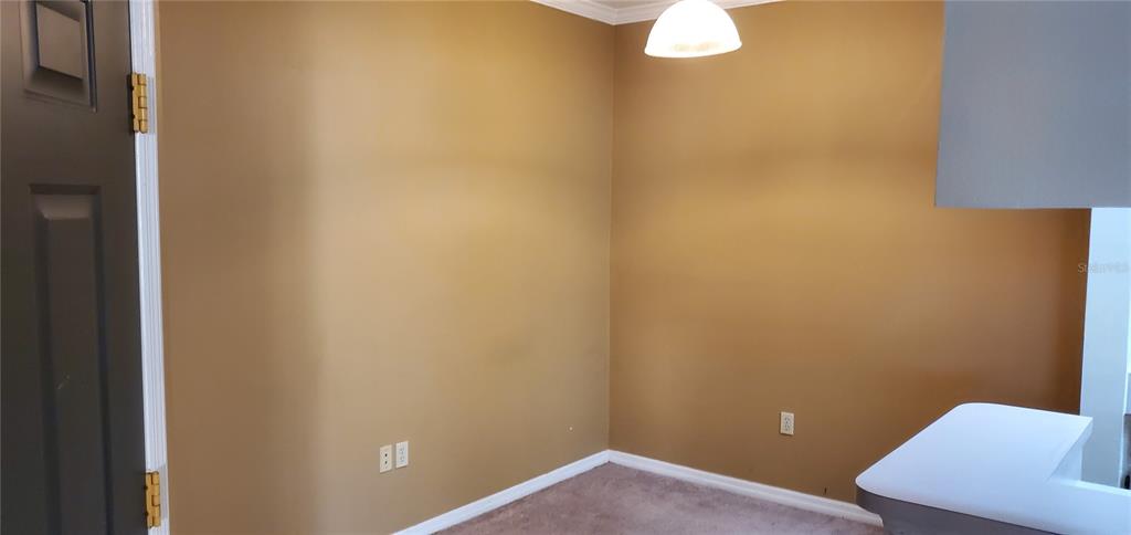 An interior view of a room with tan walls, carpeted flooring, and a white ceiling light — 5620 PINNACLE HEIGHTS CIRCLE UNIT 304, TAMPA, FL