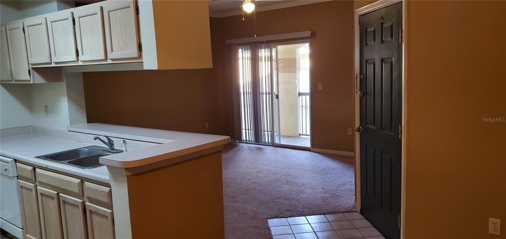A kitchen with light wood cabinets overlooks a carpeted living area with a sliding door — 5620 PINNACLE HEIGHTS CIRCLE UNIT 304, TAMPA, FL