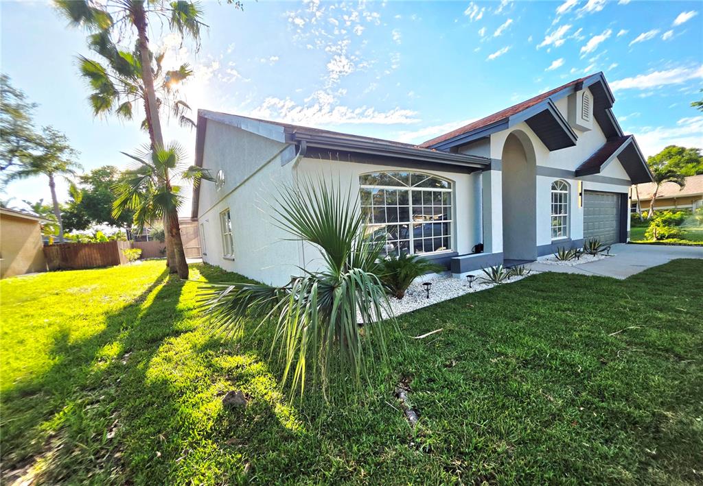 A white house with a gray roof and trim features a palm tree and lawn — 2796 CHALLENGER DRIVE, PALM HARBOR, FL