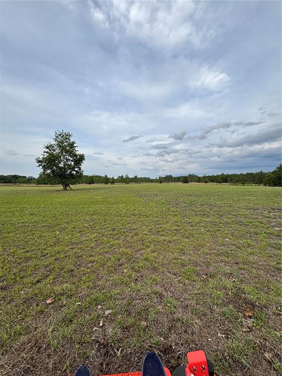 A large, open grassy field features a single tree under a cloudy sky — 974 SW SHERLOCK TERRACE, LAKE CITY, FL