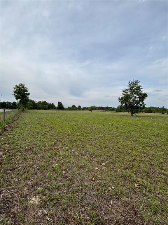 A wide, grassy field features two large trees under a cloudy sky — 974 SW SHERLOCK TERRACE, LAKE CITY, FL