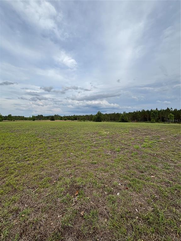 A wide, grassy field stretches toward a distant line of trees under a cloudy sky — 974 SW SHERLOCK TERRACE, LAKE CITY, FL