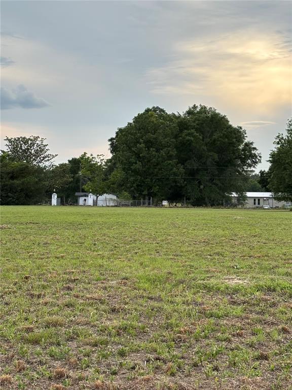 A wide, grassy field sits in front of a line of trees and distant buildings — 974 SW SHERLOCK TERRACE, LAKE CITY, FL
