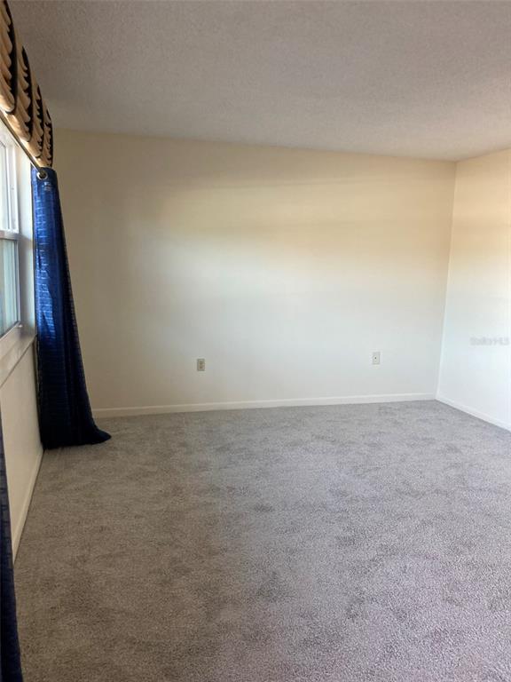 An empty room features light-colored walls, gray carpeting, and a blue curtain by the window — 5750 80TH STREET N UNIT C202, ST PETERSBURG, FL