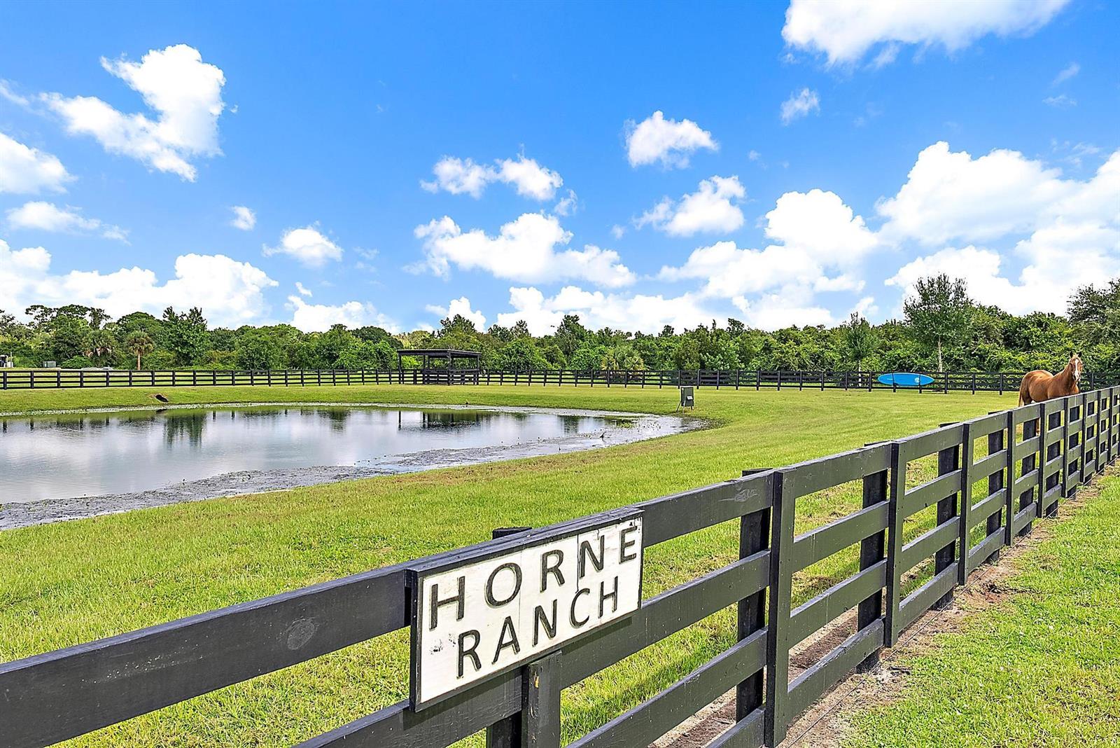 A black wooden fence with a Horne Ranch sign borders a pond in a pasture — 13615 SE 26th Lane, Okeechobee FL 34974, OKEECHOBEE, FL