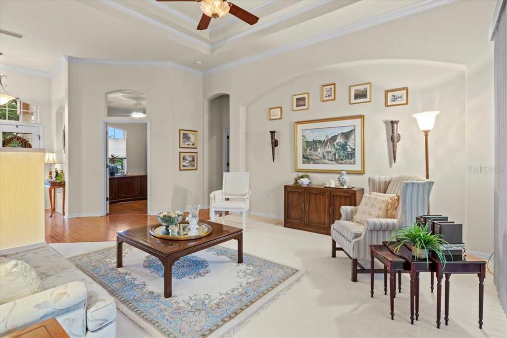 A living room features a tray ceiling, beige carpeting, a coffee table, and wall decor — 3710 LITTLE COUNTRY ROAD, PARRISH, FL