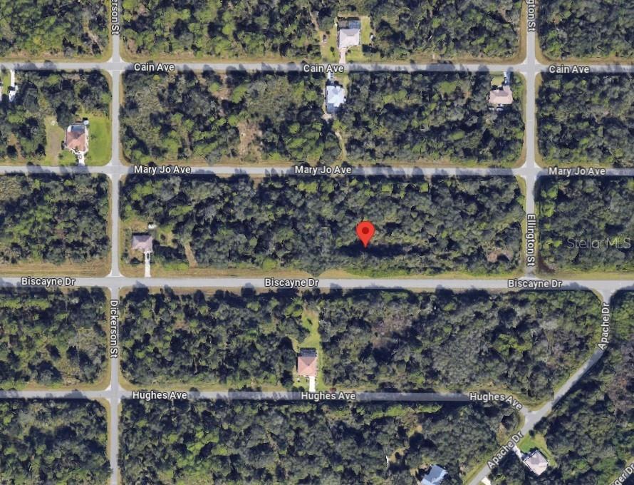 This is an aerial map view of a wooded residential lot marked with a red pin — 972 BISCAYNE DRIVE, PORT CHARLOTTE, FL