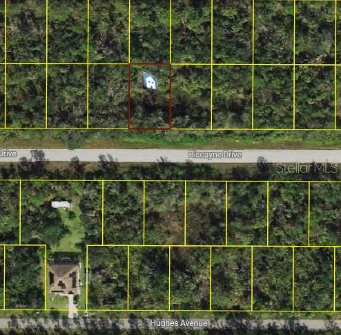 This aerial map shows a vacant residential lot outlined in red along a paved road — 972 BISCAYNE DRIVE, PORT CHARLOTTE, FL