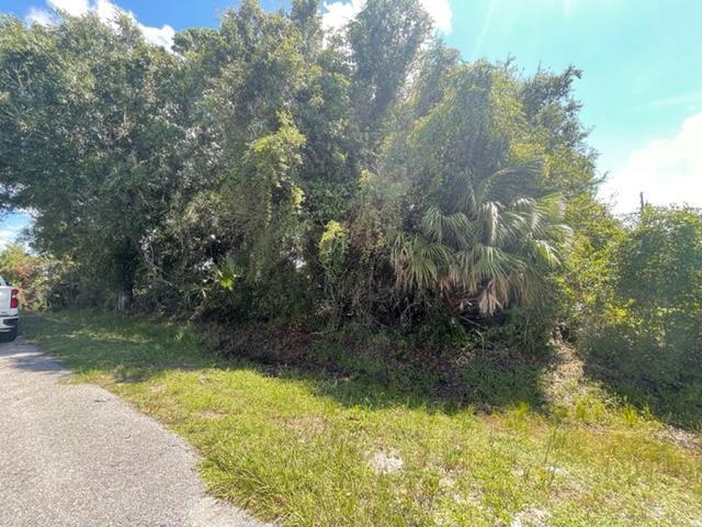 A paved road runs alongside a dense, wooded lot with tall trees and palm vegetation — 3966 NW 34th Avenue, FL 34972, FL