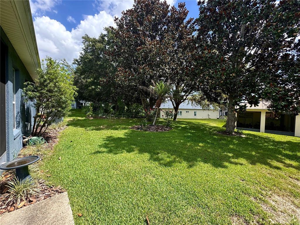 A grassy backyard features large mature trees, a birdbath, and neighboring houses in the background — 3447 MOUNT HOPE LOOP, LEESBURG, FL