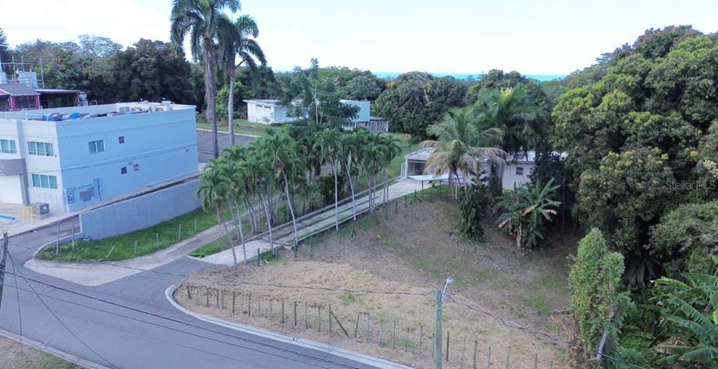 An aerial view shows a paved driveway leading to a house surrounded by palm trees — ROAD 2 KM 150.6, MAYAGUEZ, PR
