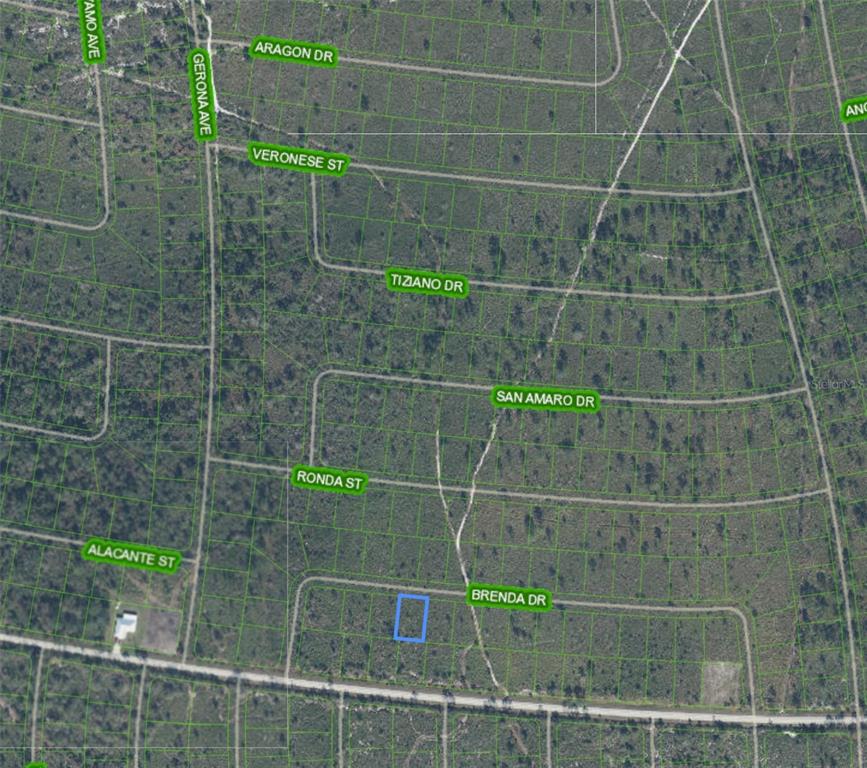 This is an aerial map showing a vacant lot highlighted in blue within a subdivision — 8119 BRENDA DRIVE, SEBRING, FL