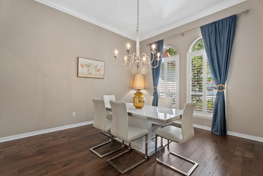 A dining room features a white table, modern chairs, a chandelier, and blue curtains — 9145 HIGHLAND RIDGE WAY, TAMPA, FL