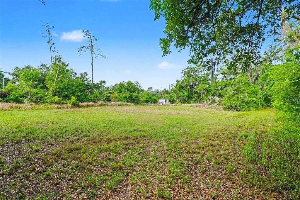 A grassy, open lot is surrounded by dense trees under a clear blue sky — 4103 STANLEY ROAD, PLANT CITY, FL