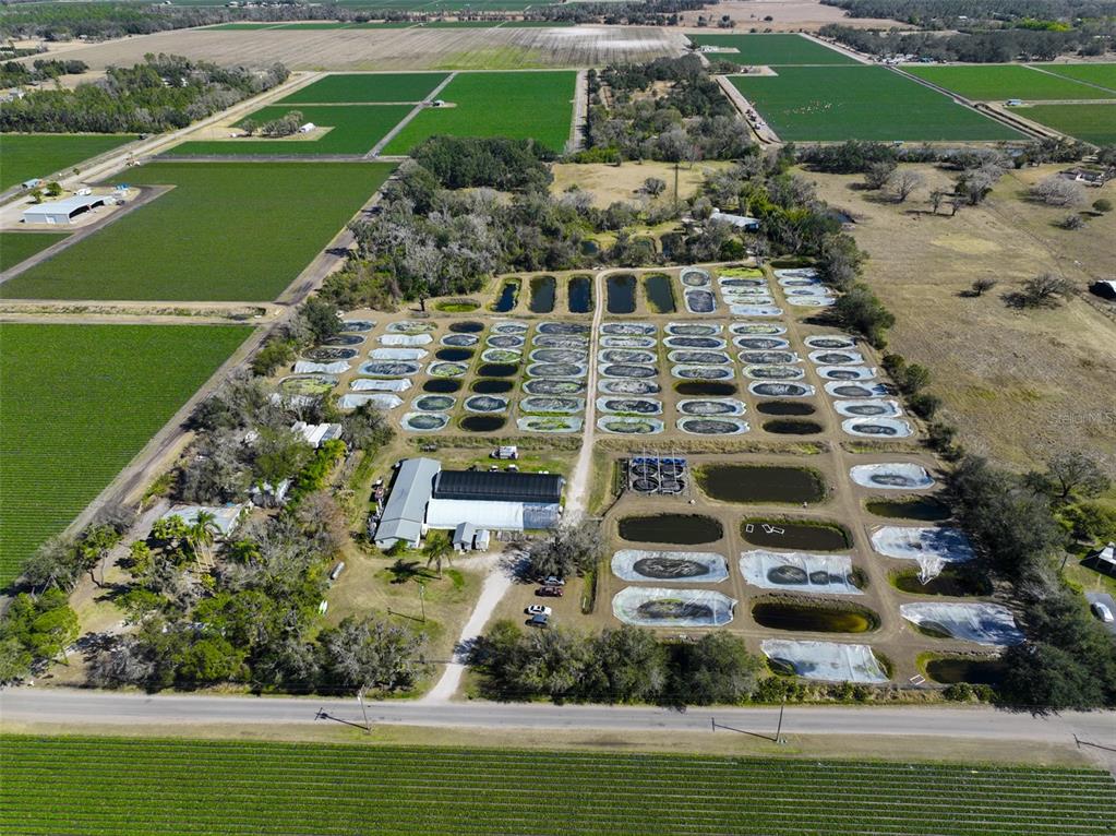 An aerial view shows a rural property featuring numerous aquaculture ponds and a central building — 20112 HOBBS ROAD, WIMAUMA, FL