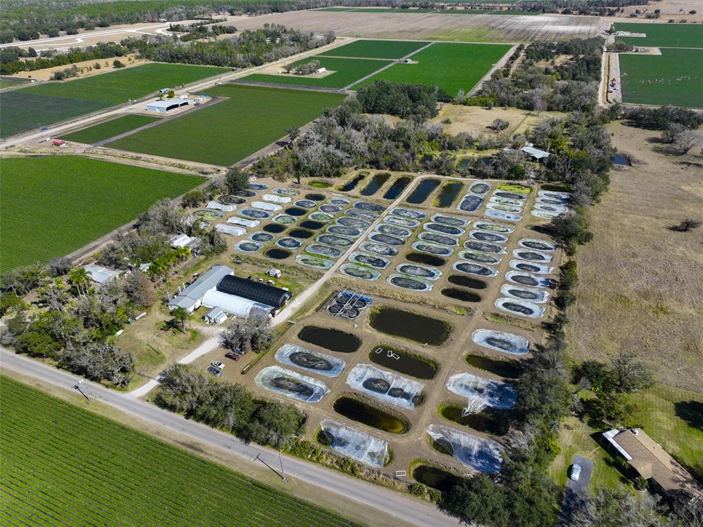Aerial view of a rural property featuring numerous aquaculture ponds and large agricultural fields — 20112 HOBBS ROAD, WIMAUMA, FL